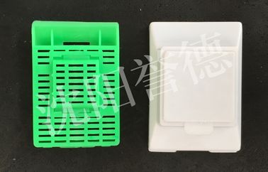 Китай Крупноразмерная ткань обрабатывая кассеты, зеленый дизайн кассеты патологии разумный завод